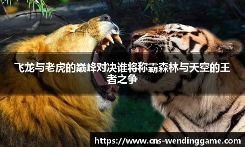 飞龙与老虎的巅峰对决谁将称霸森林与天空的王者之争